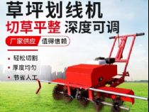 點(diǎn)擊查看詳細(xì)信息<br>標(biāo)題：草皮劃線機(jī) 閱讀次數(shù)：2341